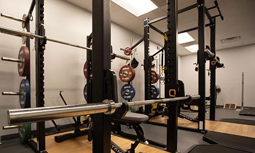 Matrix Squat Racks And Eleiko Weights